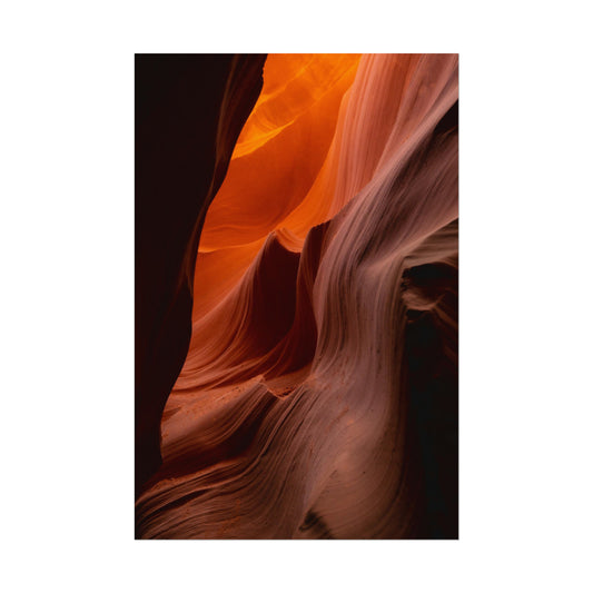 Antelope 04 - Rolled Poster