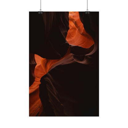 Antelope 08 - Rolled Poster
