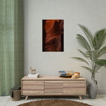 Antelope 01 - Rolled Poster
