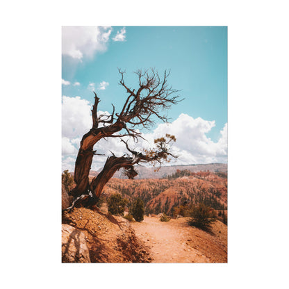 Bryce Canyon 02 - Rolled Poster