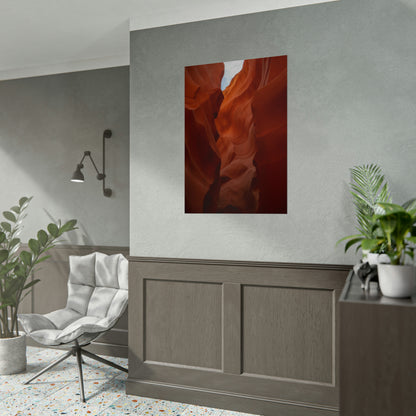 Antelope 07 - Rolled Poster