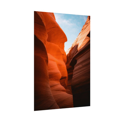 Antelope 06 - Rolled Poster