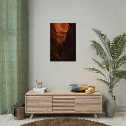 Antelope 02 - Rolled Poster