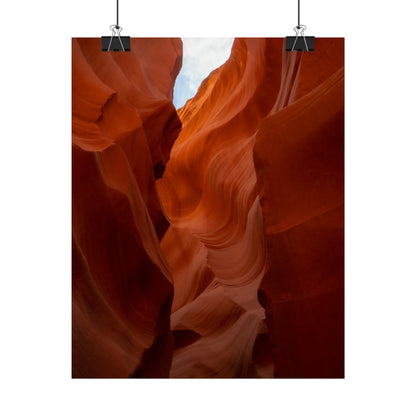 Antelope 07 - Rolled Poster