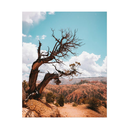 Bryce Canyon 02 - Rolled Poster