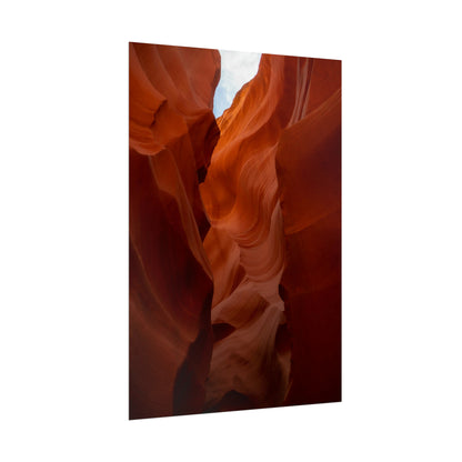 Antelope 07 - Rolled Poster