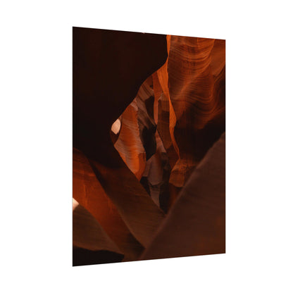 Antelope 05 - Rolled Poster
