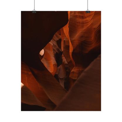 Antelope 05 - Rolled Poster