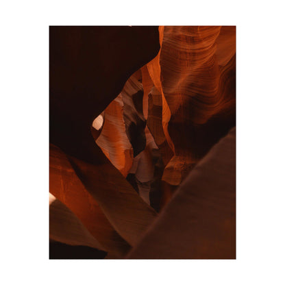 Antelope 05 - Rolled Poster