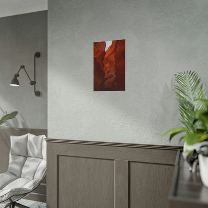 Antelope 07 - Rolled Poster