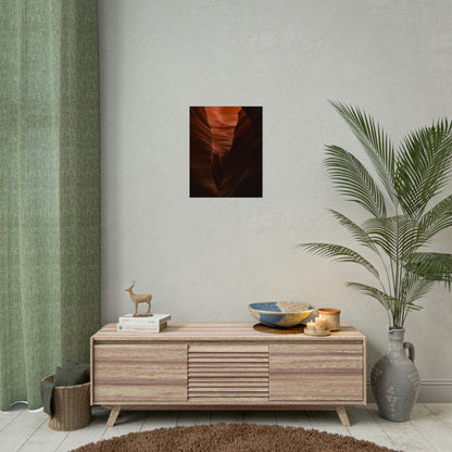 Antelope 02 - Rolled Poster