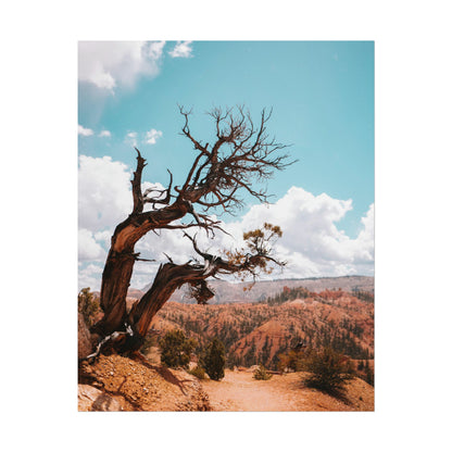 Bryce Canyon 02 - Rolled Poster