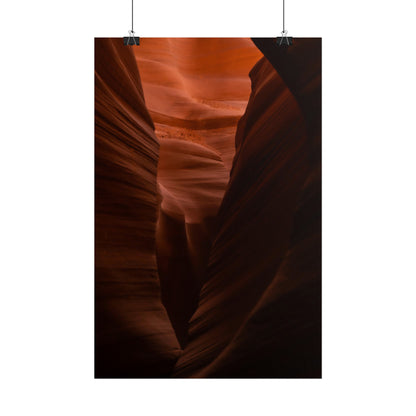 Antelope 02 - Rolled Poster