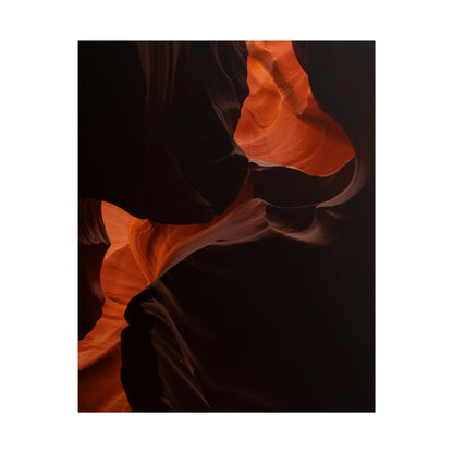 Antelope 08 - Rolled Poster