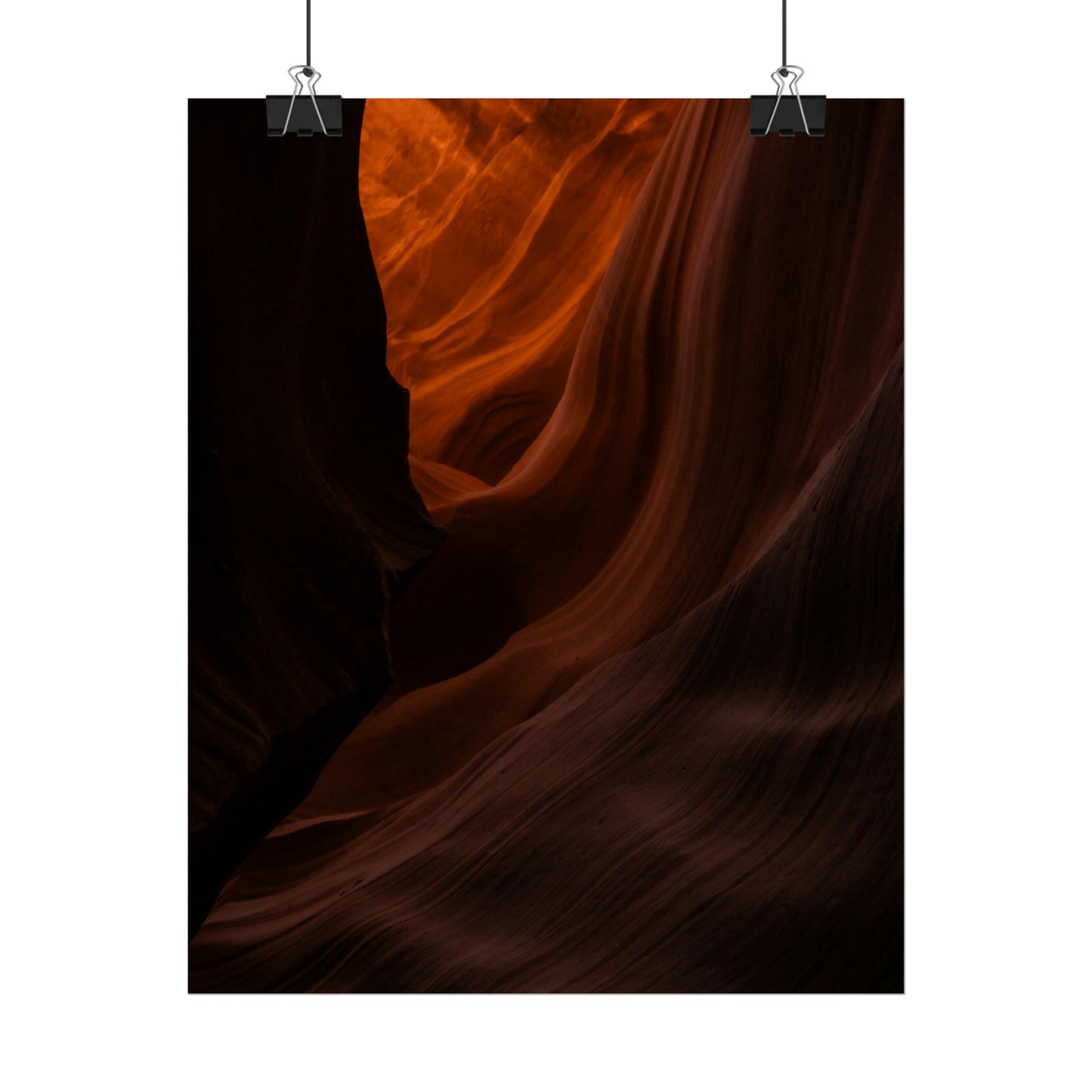 Antelope 03 - Rolled Poster