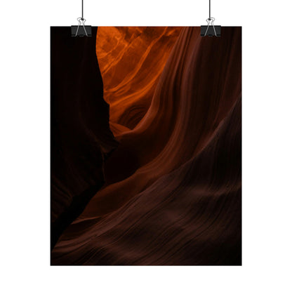 Antelope 03 - Rolled Poster