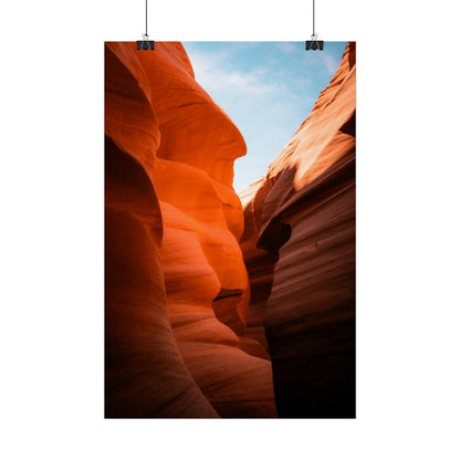Antelope 06 - Rolled Poster