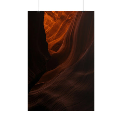 Antelope 03 - Rolled Poster