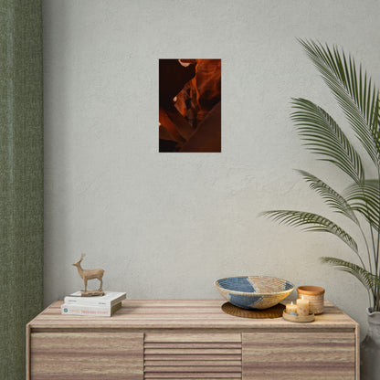 Antelope 05 - Rolled Poster