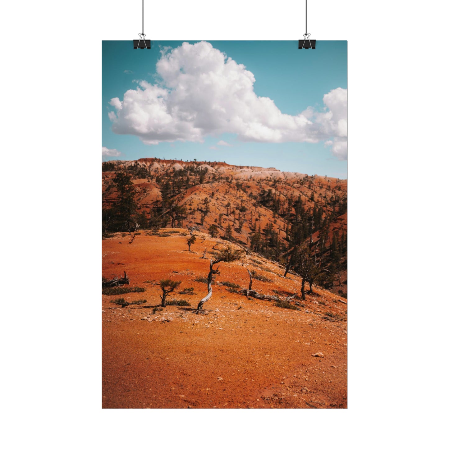 Bryce Canyon 01 - Rolled Poster