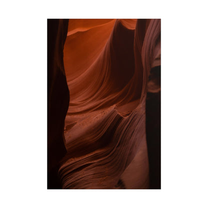 Antelope 01 - Rolled Poster