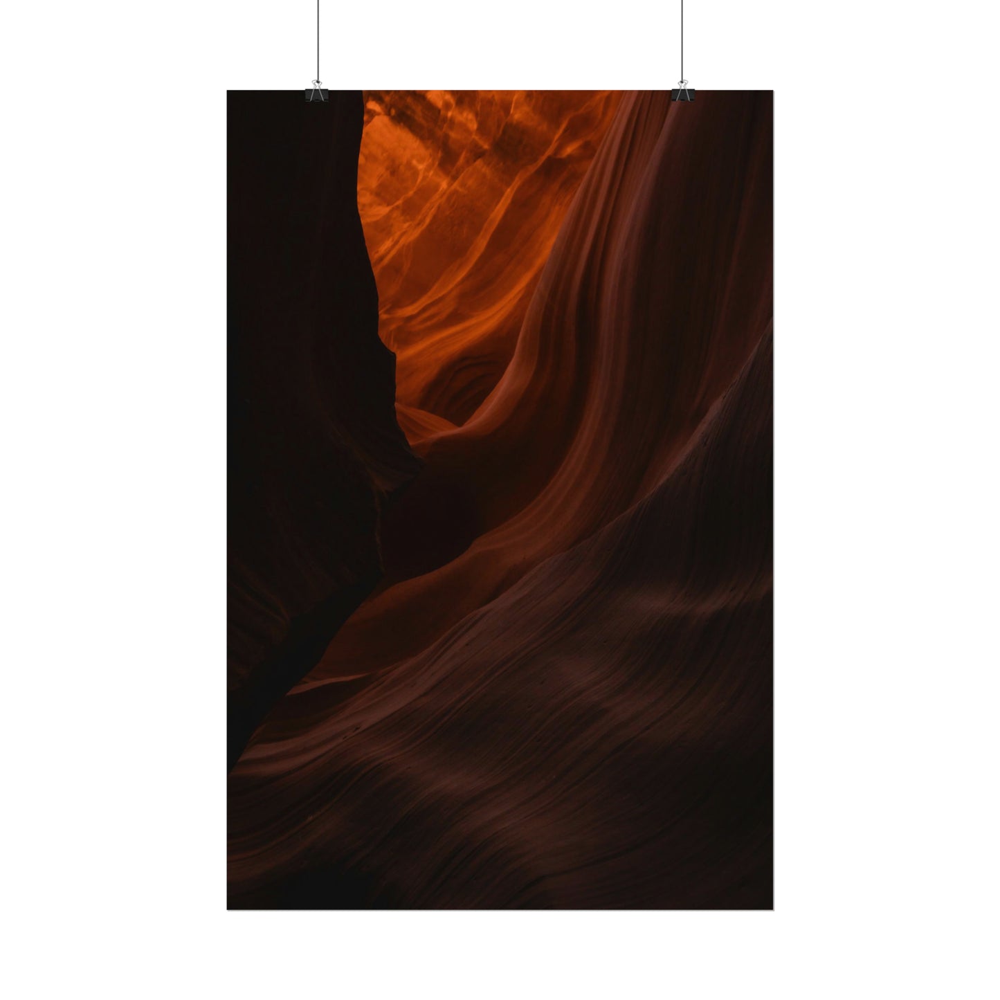 Antelope 03 - Rolled Poster