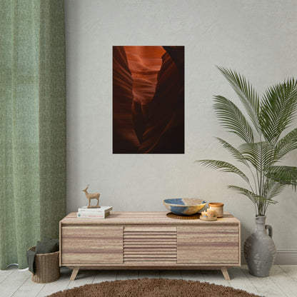 Antelope 02 - Rolled Poster
