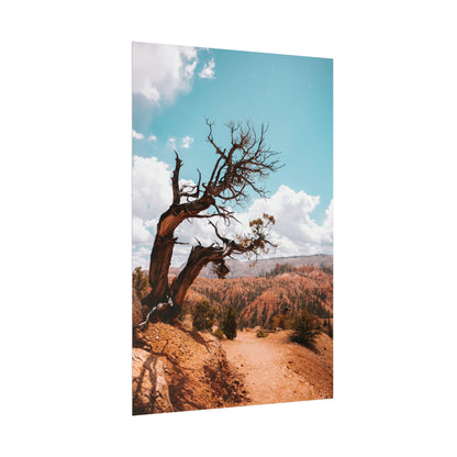 Bryce Canyon 02 - Rolled Poster