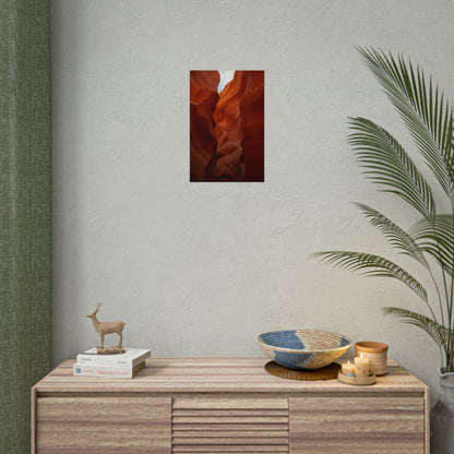 Antelope 07 - Rolled Poster