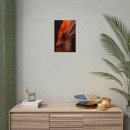 Antelope 04 - Rolled Poster