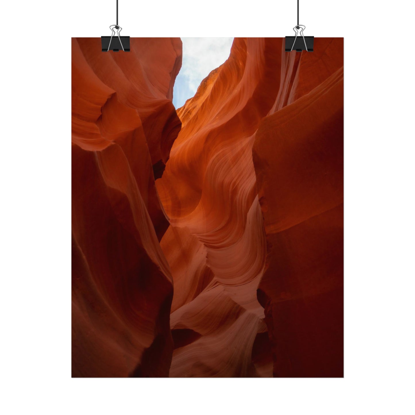 Antelope 07 - Rolled Poster