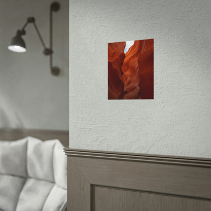 Antelope 07 - Rolled Poster