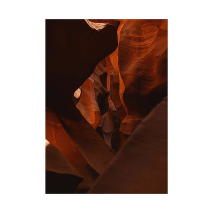Antelope 05 - Rolled Poster