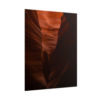 Antelope 02 - Rolled Poster