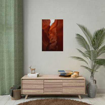 Antelope 07 - Rolled Poster