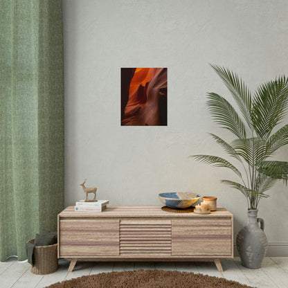 Antelope 04 - Rolled Poster