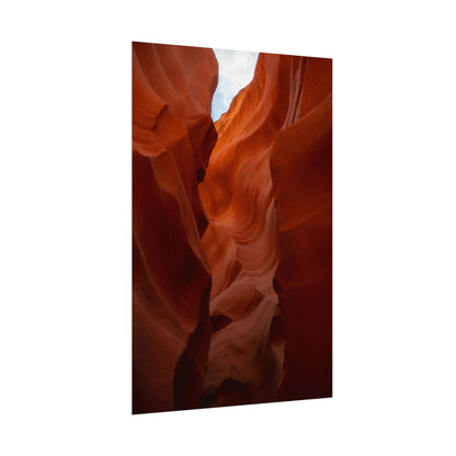 Antelope 07 - Rolled Poster