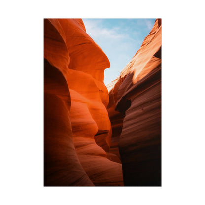 Antelope 06 - Rolled Poster