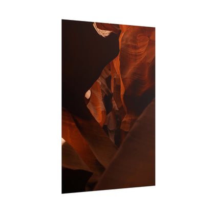 Antelope 05 - Rolled Poster