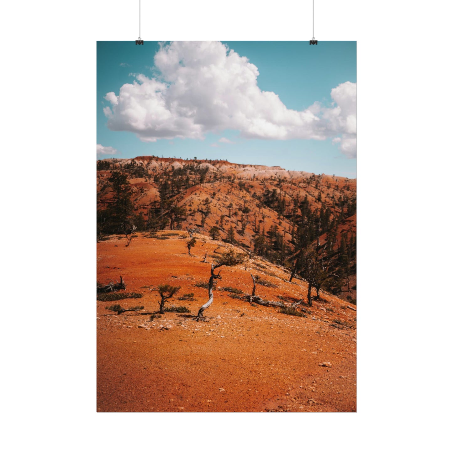 Bryce Canyon 01 - Rolled Poster