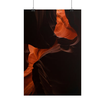 Antelope 08 - Rolled Poster