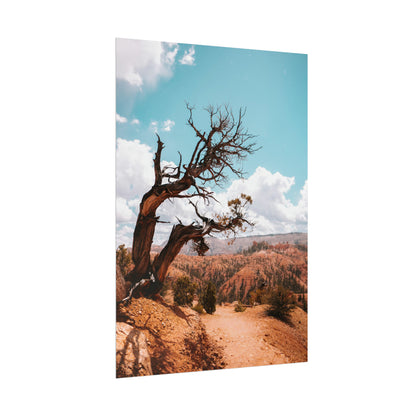 Bryce Canyon 02 - Rolled Poster