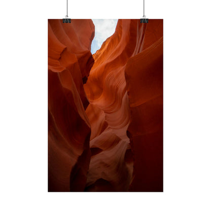 Antelope 07 - Rolled Poster