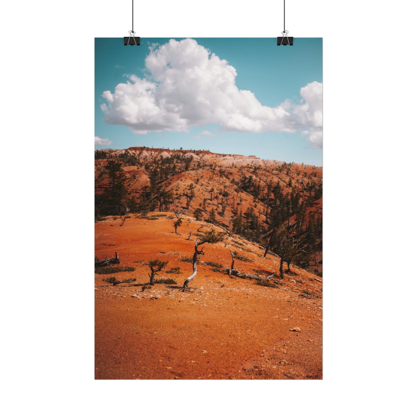 Bryce Canyon 01 - Rolled Poster