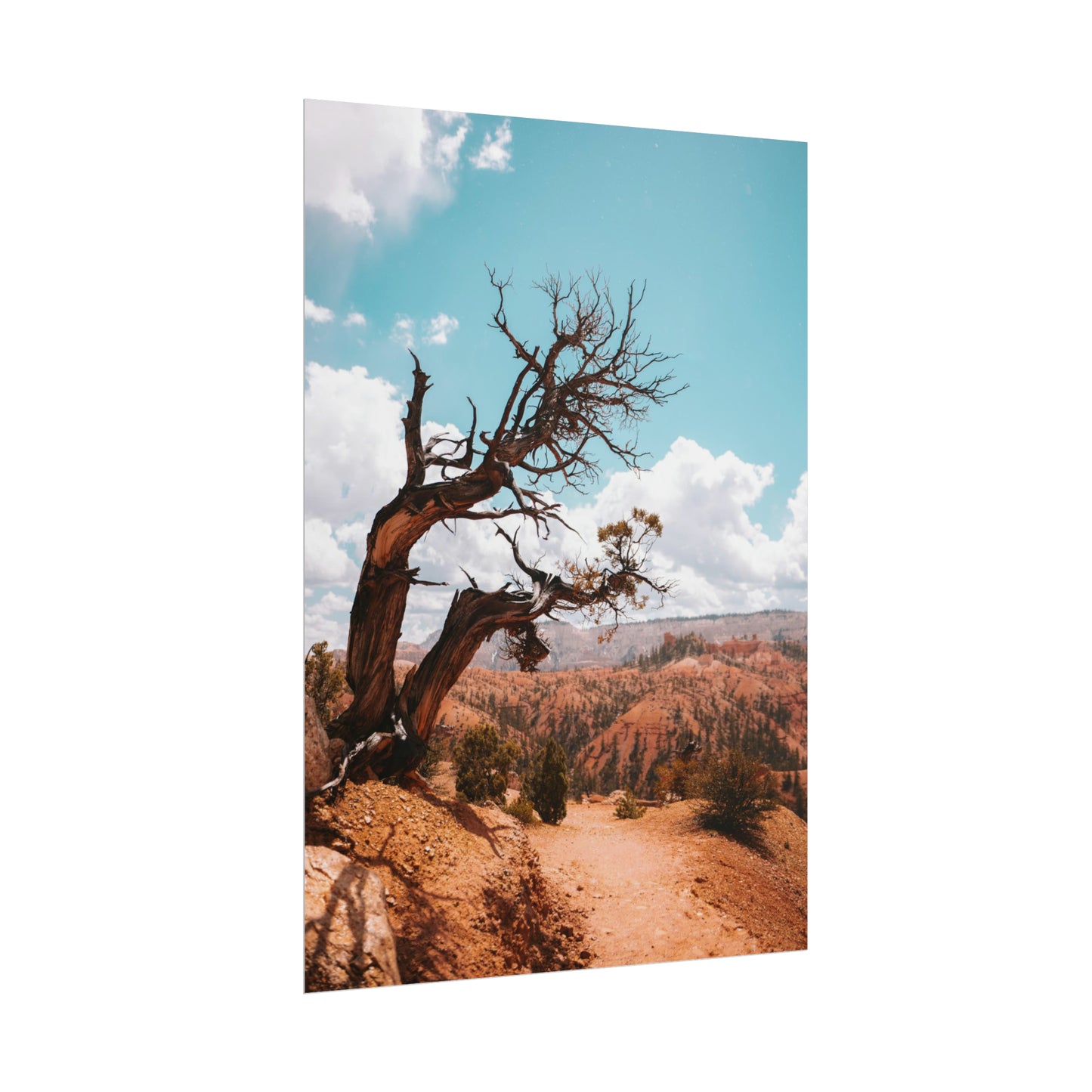Bryce Canyon 02 - Rolled Poster
