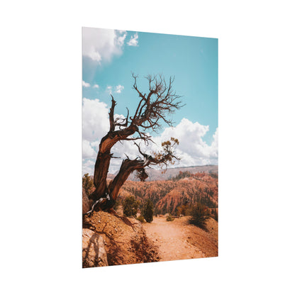Bryce Canyon 02 - Rolled Poster