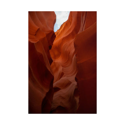 Antelope 07 - Rolled Poster