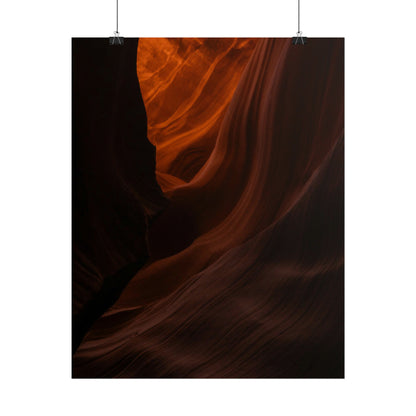 Antelope 03 - Rolled Poster