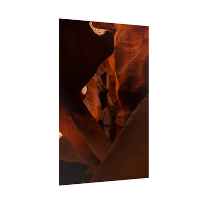 Antelope 05 - Rolled Poster