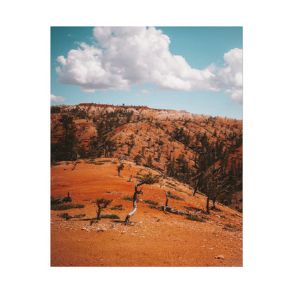 Bryce Canyon 01 - Rolled Poster